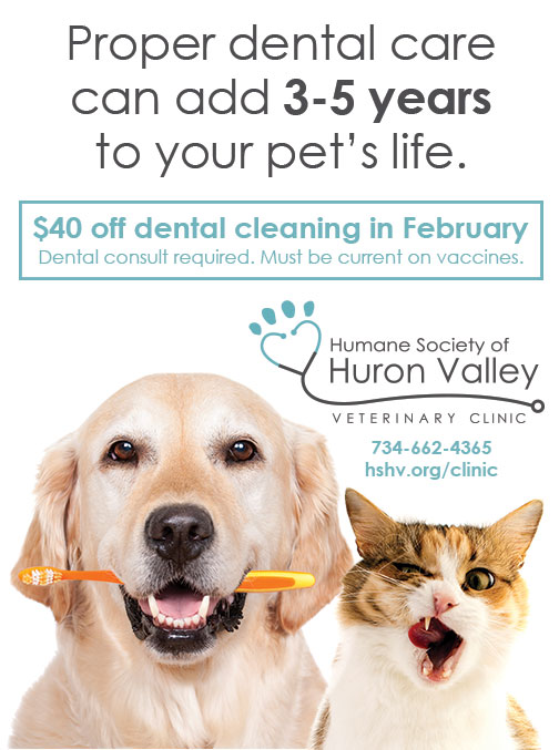 Get $40 off dental cleaning in February