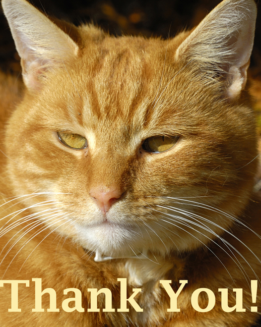 Presidential Statement: Thank You!!! - published by Battle Kitten on