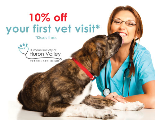 10% off first visit at HSHV veterinary clinic