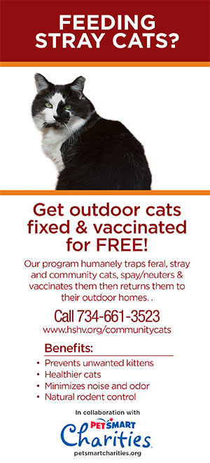 Free spay and neuter for outdoor cats