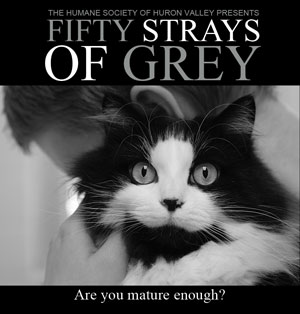 Fifty Strays of Grey