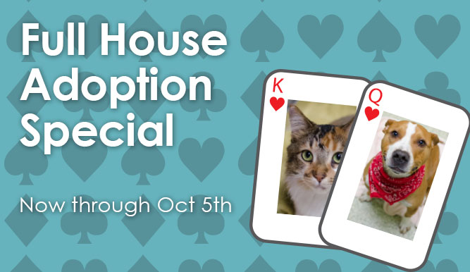 Full House Adoption Special
