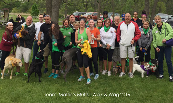 Mattie's Mutts team 2016