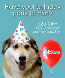 HSHV Party Animal Special
