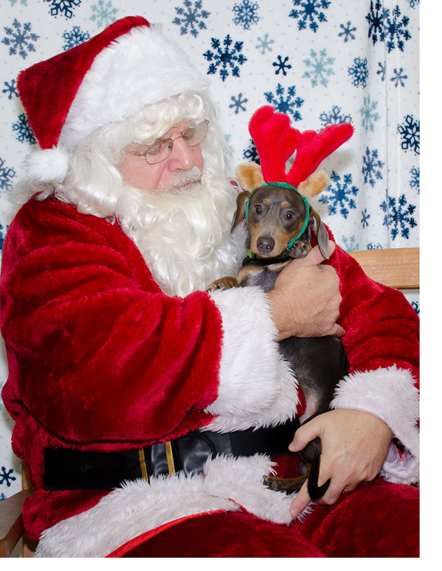 Santa with pet