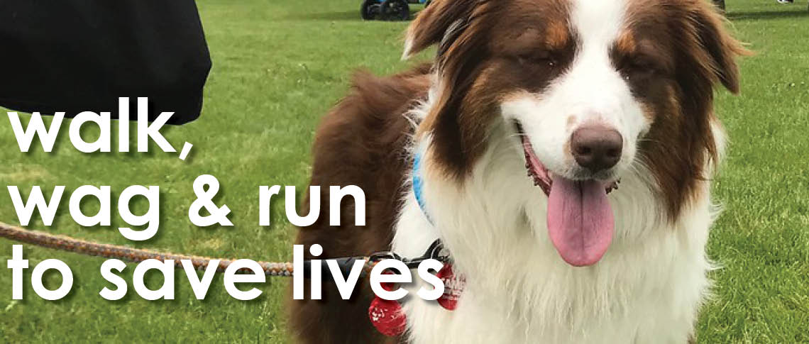 Walk, wag and run to save lives