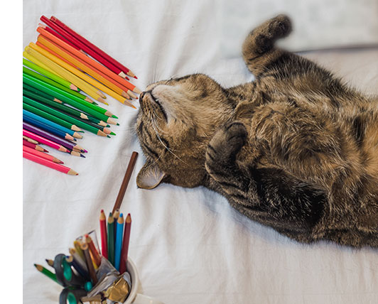 Coloring with Kitties
