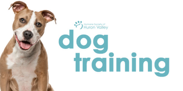 Dog Training at HSHV