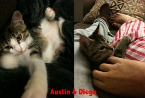 Austin & Diego