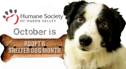 October is Adopt a Shelter Dog Month