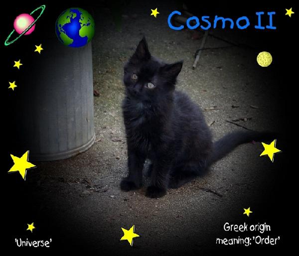 Cosmo, formally Floyd